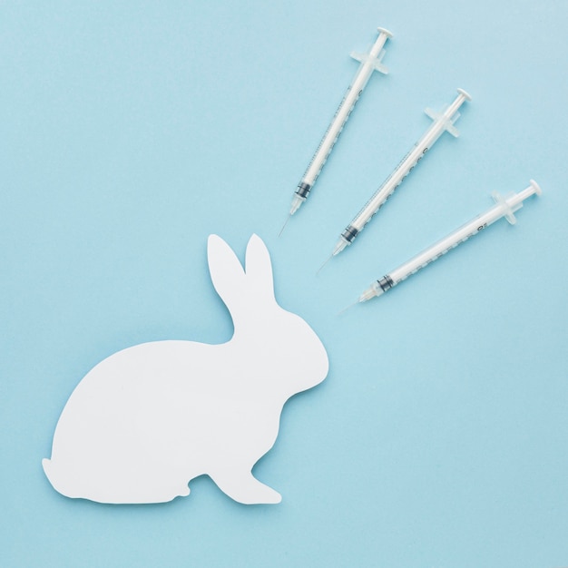 top-view-paper-bunny-with-syringes-animal-day_23-2148668861